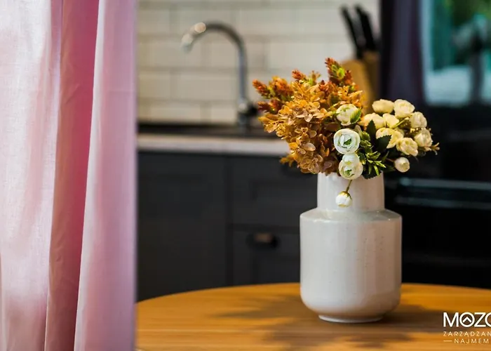 Hello Cozy Hallera * Gdansk